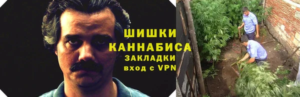 ПСИЛОЦИБИНОВЫЕ ГРИБЫ Вяземский