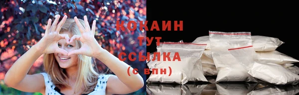 ПСИЛОЦИБИНОВЫЕ ГРИБЫ Вяземский