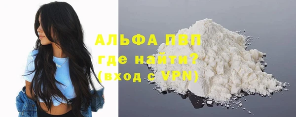 ПСИЛОЦИБИНОВЫЕ ГРИБЫ Вяземский