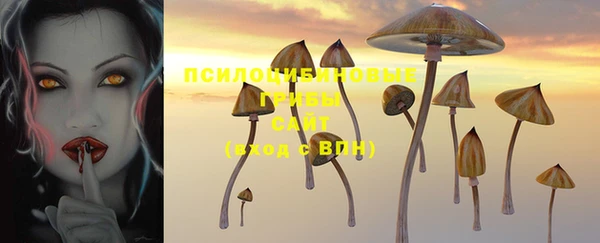 ПСИЛОЦИБИНОВЫЕ ГРИБЫ Вяземский
