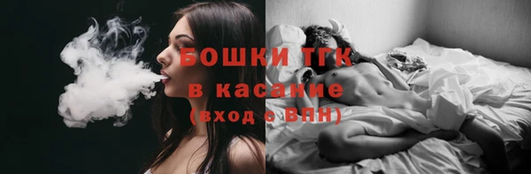 ПСИЛОЦИБИНОВЫЕ ГРИБЫ Вяземский