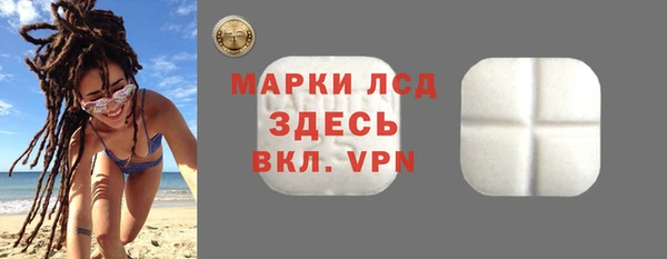 ПСИЛОЦИБИНОВЫЕ ГРИБЫ Вяземский
