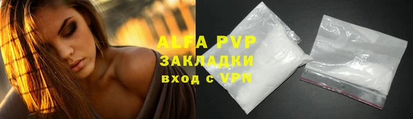 ПСИЛОЦИБИНОВЫЕ ГРИБЫ Вяземский