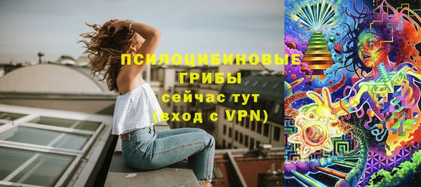 мдпв Вязники