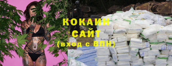 ПСИЛОЦИБИНОВЫЕ ГРИБЫ Вяземский