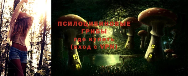 мдпв Вязники