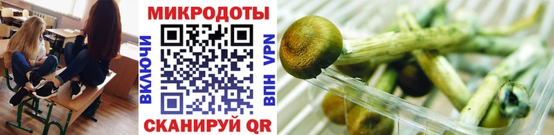 Псилоцибиновые грибы прущие грибы  Купить где  Себеж 
